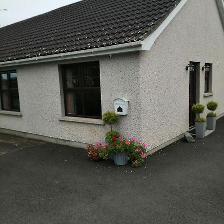 Lynn'S Lodge, International Airport 15Mins Randalstown Eksteriør bilde