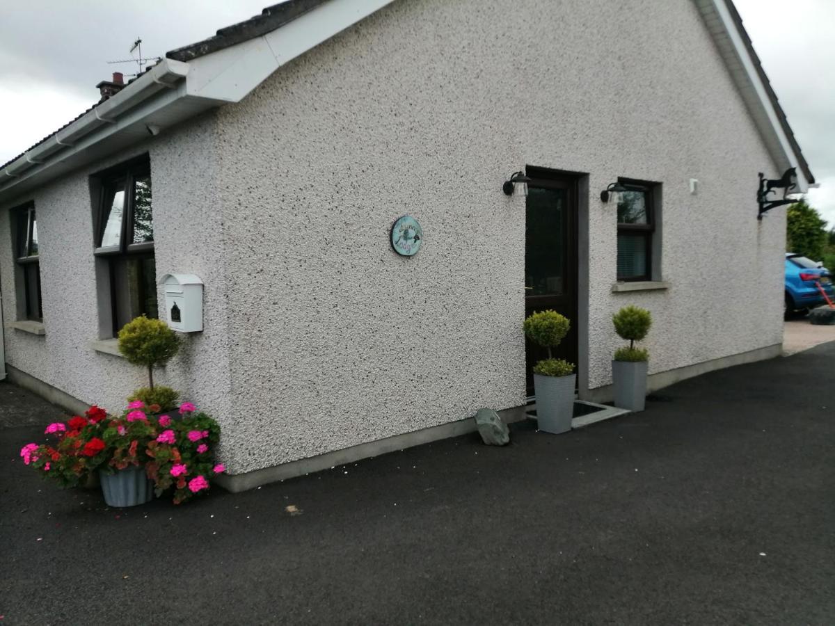 Lynn'S Lodge, International Airport 15Mins Randalstown Eksteriør bilde