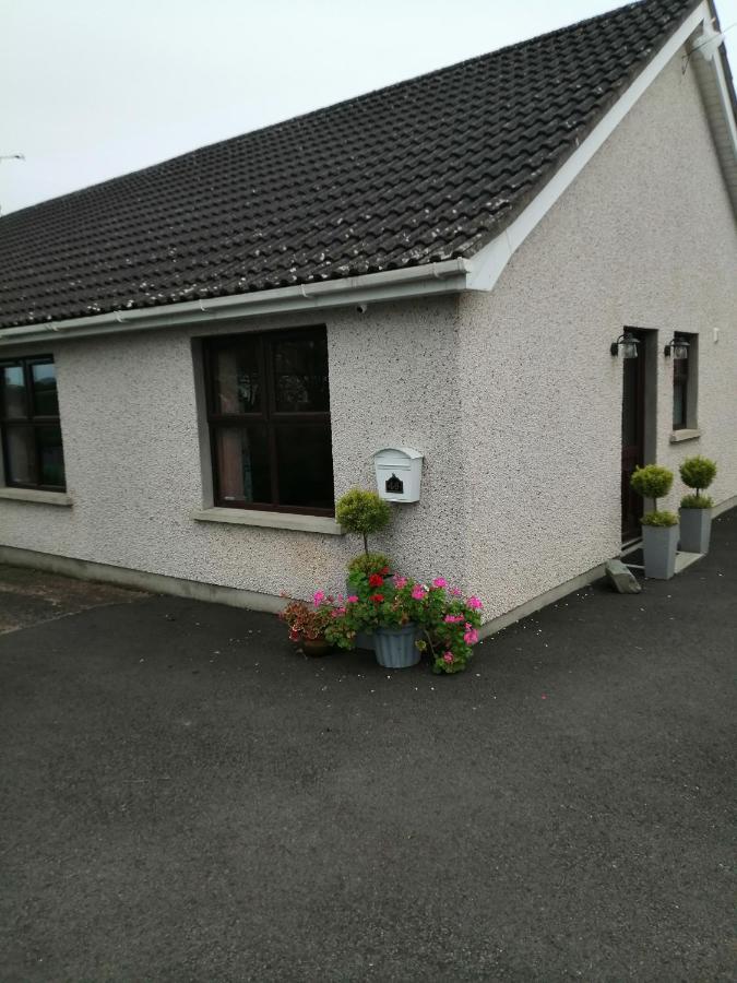 Lynn'S Lodge, International Airport 15Mins Randalstown Eksteriør bilde